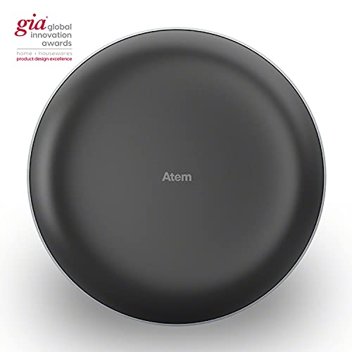 Headrest-Mounted Car Air Purifier with Bluetooth