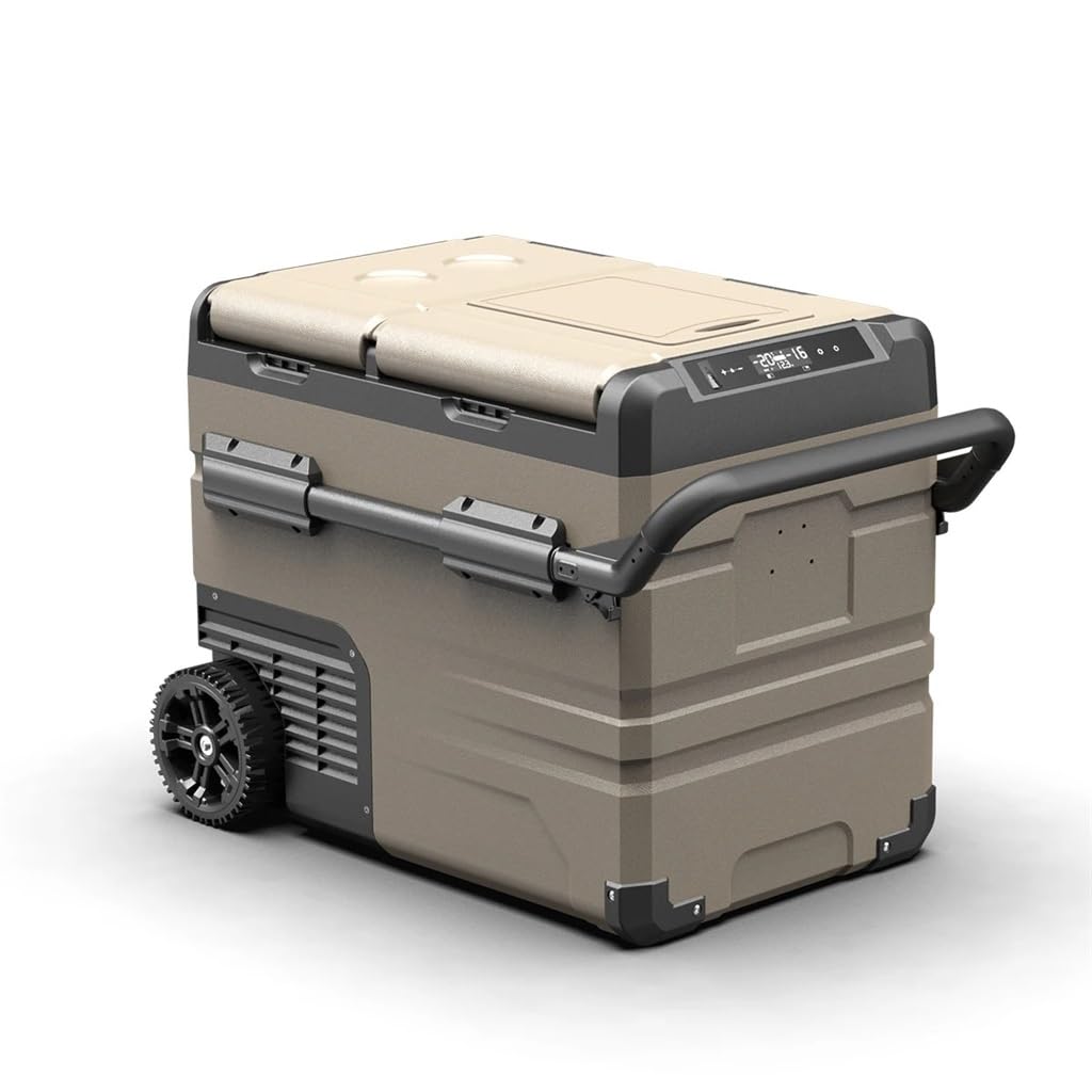 Portable Car Refrigerator with AC and DC Power Support