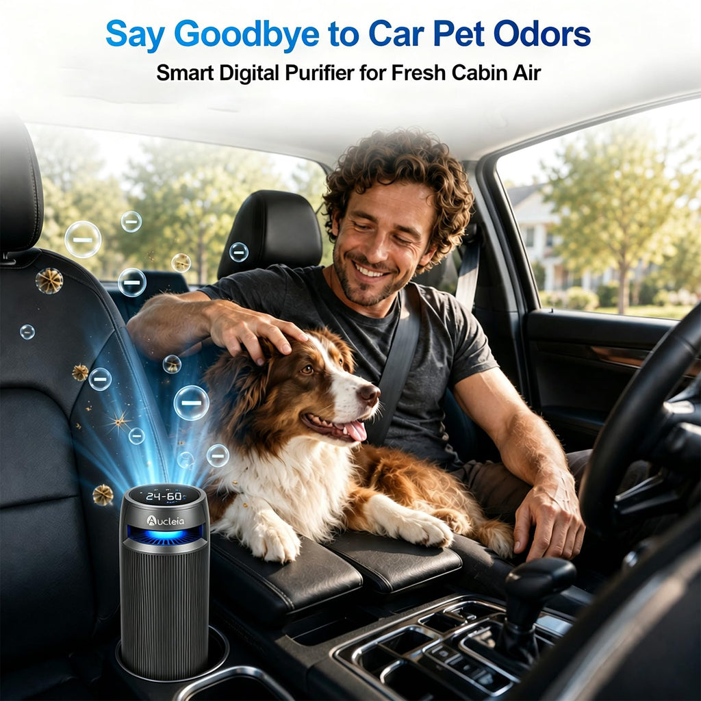 Cup-Holder Air Purifier with Monitoring Display